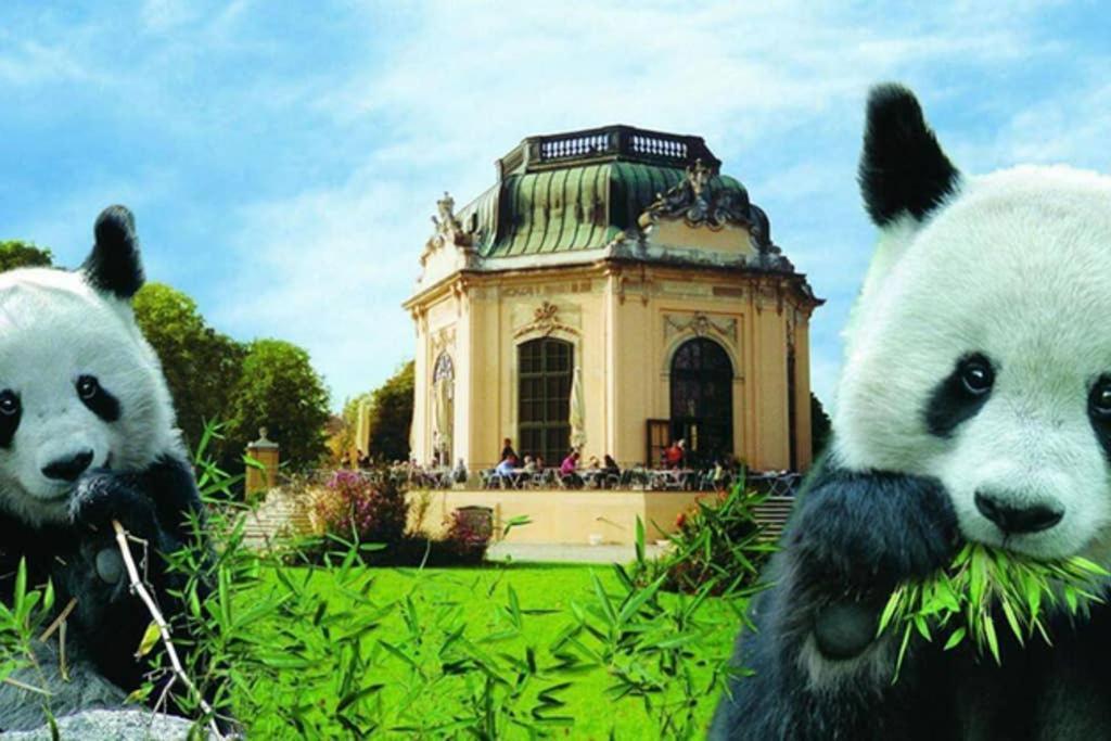Leben Im Stadtlicht L Lf21 Wenen Buitenkant foto